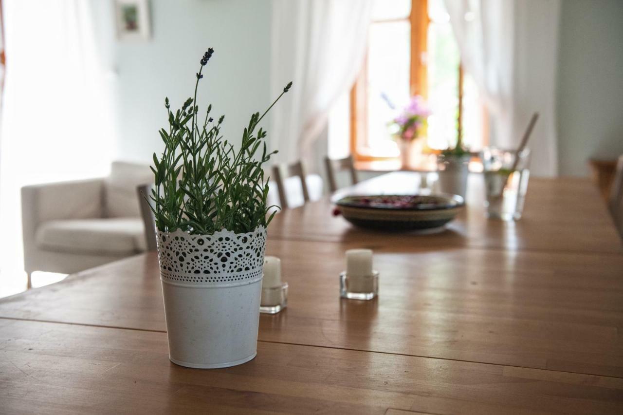 Potoczek 19 Villa Miedzylesie  Bagian luar foto