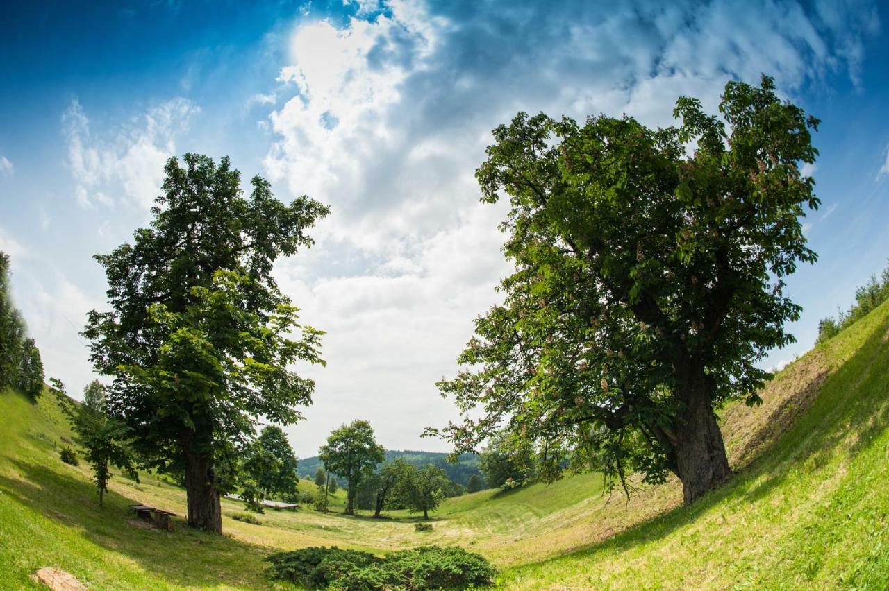 Potoczek 19 Villa Miedzylesie  Bagian luar foto