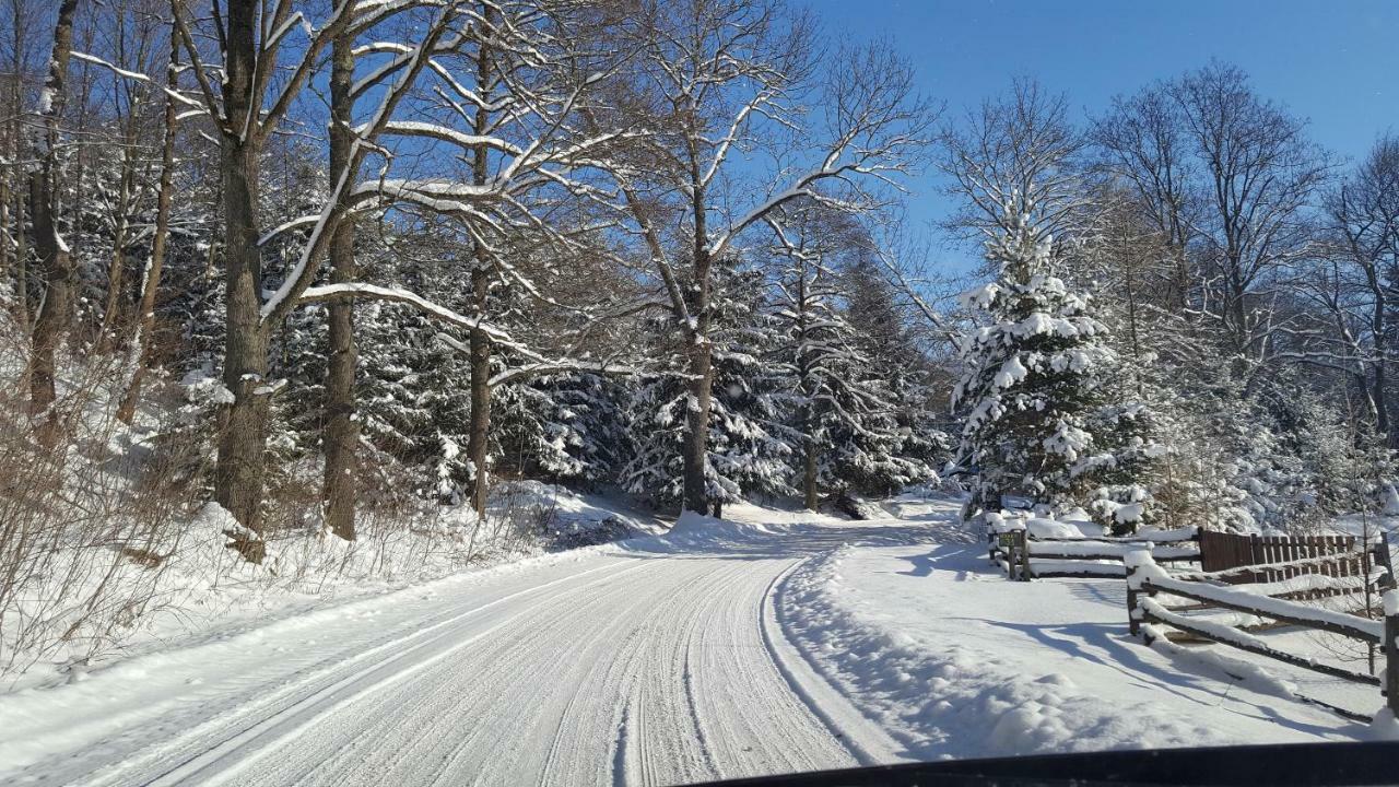 Potoczek 19 Villa Miedzylesie  Bagian luar foto