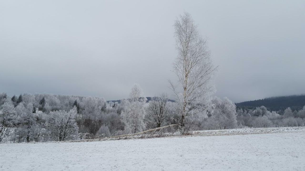 Potoczek 19 Villa Miedzylesie  Bagian luar foto