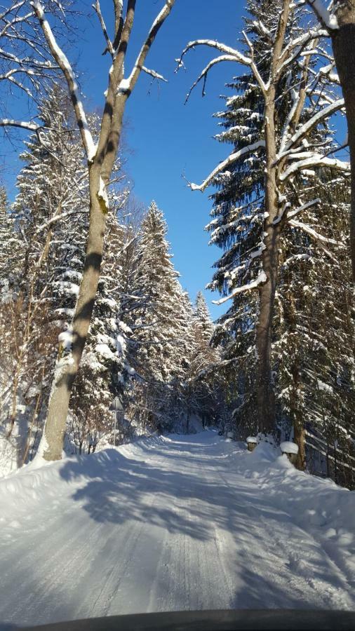 Potoczek 19 Villa Miedzylesie  Bagian luar foto